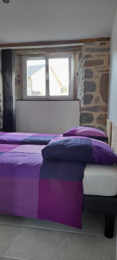 Appartement Chez Nave au pied du Meygal à Boussoulet Extérieur photo